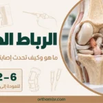 الرباط الصليبي_ تشخيص وعلاج knee anatomy