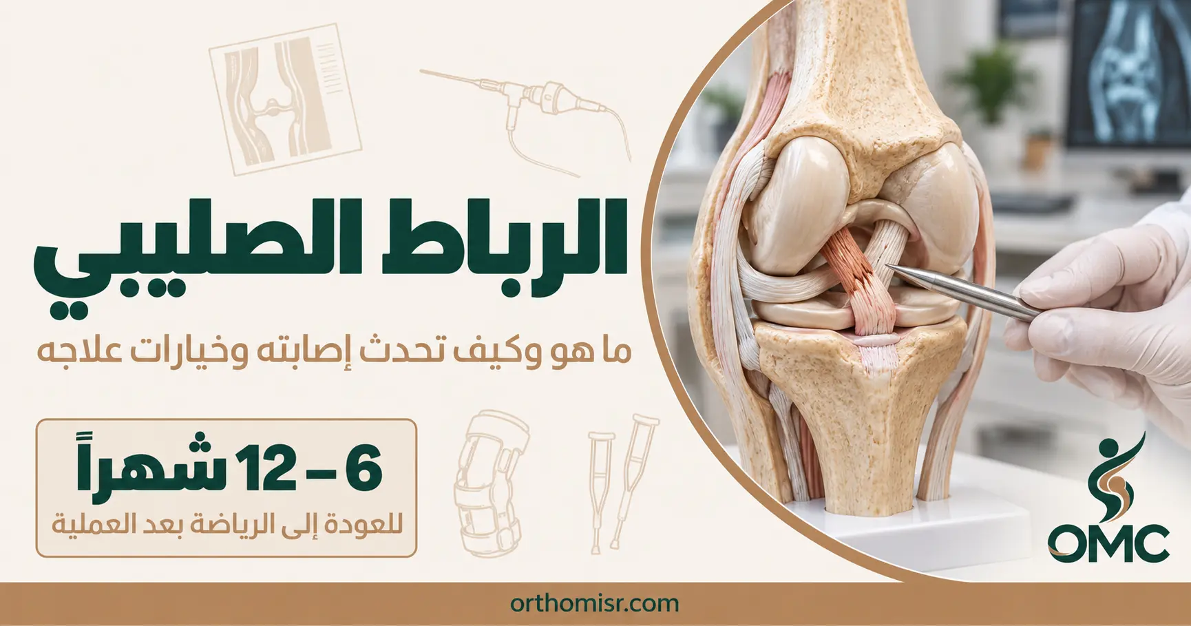 الرباط الصليبي_ تشخيص وعلاج knee anatomy